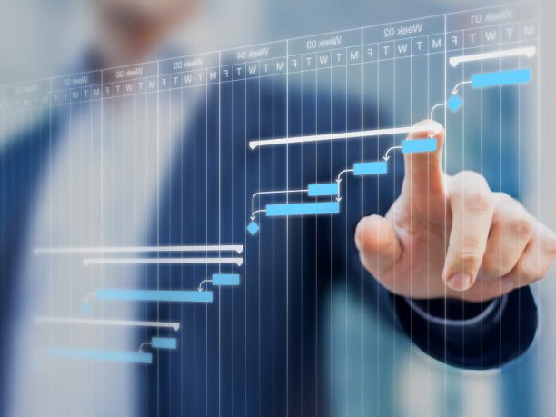 Maciel de Carvalho Rodrigues Medeiros