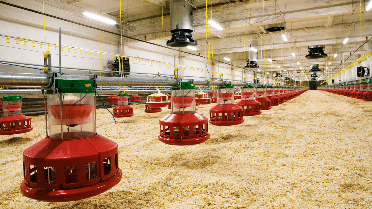 CENOTIC Engenharia LTDA