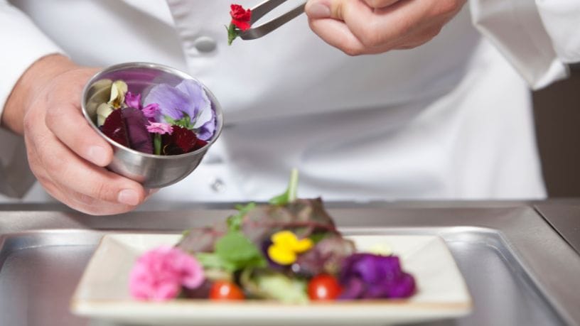 Paulo Augusto Berchielli