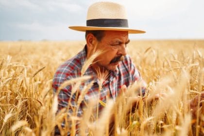 Agenor Vicente Pelissa