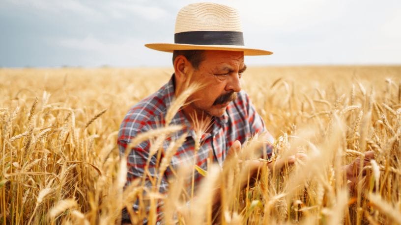 Agenor Vicente Pelissa