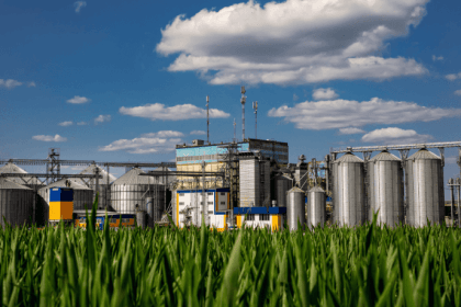 Christian Zini Amorim