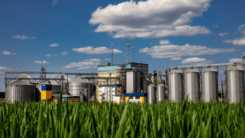 Christian Zini Amorim