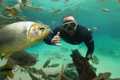 Dr. Aroldo Fernandes da Luz orienta como se preparar para uma sustentação oral clara, estratégica e segura.