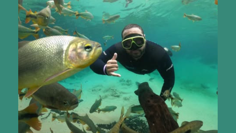 Dr. Aroldo Fernandes da Luz orienta como se preparar para uma sustentação oral clara, estratégica e segura.