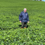 Cavalo Crioulo nas provas de resistência revela genética campeira que diferencia desempenhos, aponta Aldo Vendramin.