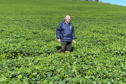 Cavalo Crioulo nas provas de resistência revela genética campeira que diferencia desempenhos, aponta Aldo Vendramin.