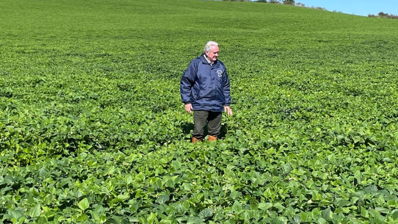 Cavalo Crioulo nas provas de resistência revela genética campeira que diferencia desempenhos, aponta Aldo Vendramin.