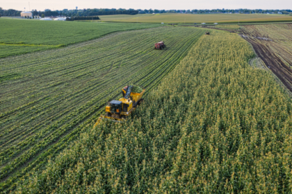 João Eustáquio De Almeida Junior analisa como as mudanças climáticas impactam a pecuária e quais oportunidades surgem para fortalecer o agronegócio brasileiro.