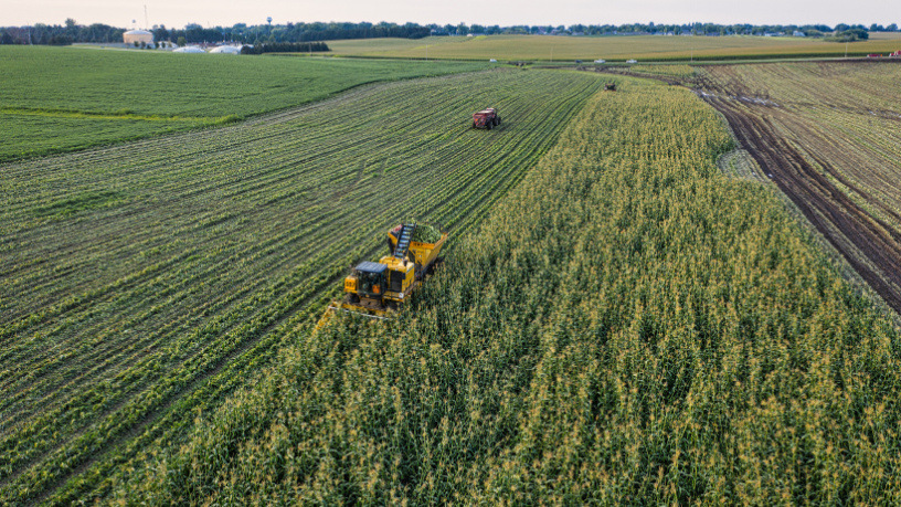 João Eustáquio De Almeida Junior analisa como as mudanças climáticas impactam a pecuária e quais oportunidades surgem para fortalecer o agronegócio brasileiro.