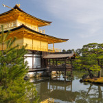 A experiência de viajar devagar no Japão revela como tempo, silêncio e observação transformam a jornada em algo mais profundo, reflexão destacada por Alberto Toshio Murakami.