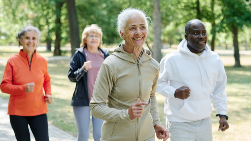 Sindnapi - Sindicato Nacional dos Aposentados, Pensionistas e Idosos