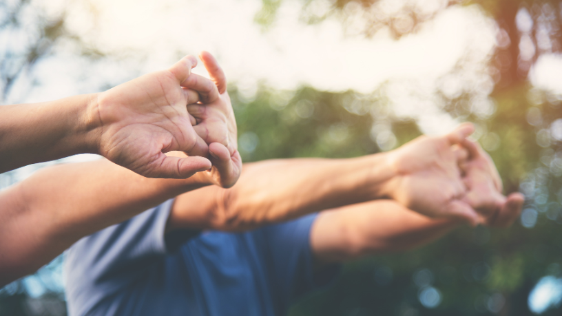 Sindnapi - Sindicato Nacional dos Aposentados, Pensionistas e Idosos